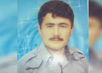 Kesilen kavak ağacının altında kalan kişi hayatını kaybetti