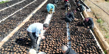 Minikler tescilli ürünü toprakla buluşturdu