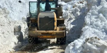 Bitlis’te bütün köy yolları açıldı