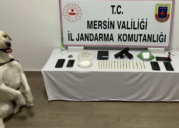 Mersin’de uyuşturucu operasyonu