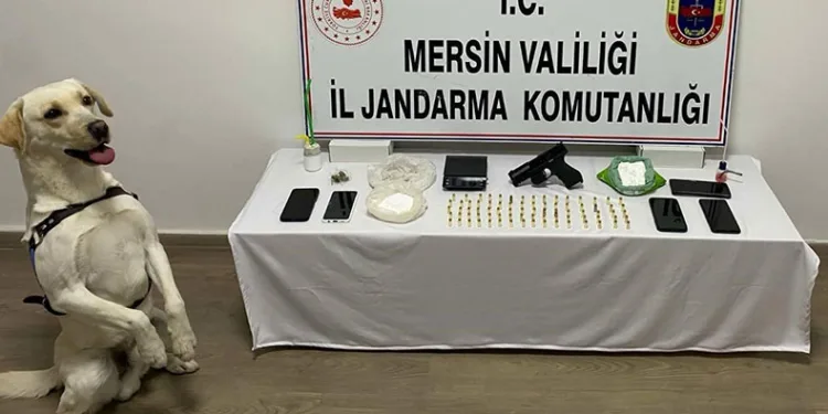 Mersin’de uyuşturucu operasyonu