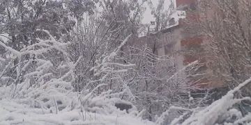 Ağrı’da Mart’ta kar sürprizi