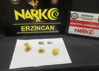 Polisten kaçan şüpheliden bonzai ele geçirildi