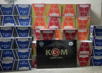 Gümrük kaçağı sigara ve makaron operasyonu