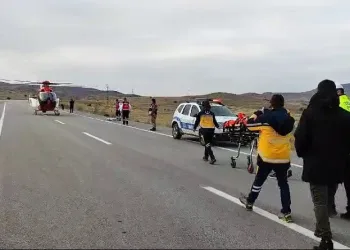 Köpeğe çarpmamak için manevra yaptı, tarlaya devrildi