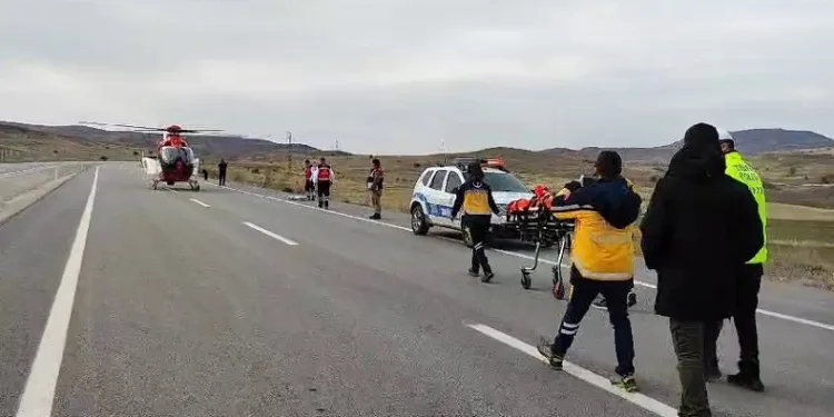 Köpeğe çarpmamak için manevra yaptı, tarlaya devrildi