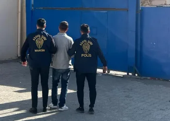 Mardin’de çeşitli suçlardan 12 zanlı tutuklandı
