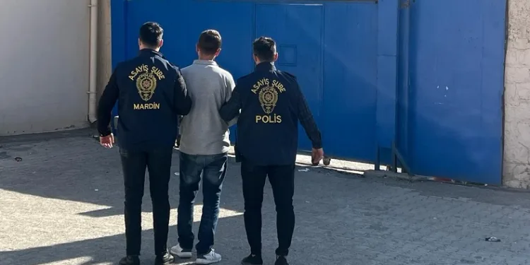 Mardin’de çeşitli suçlardan 12 zanlı tutuklandı
