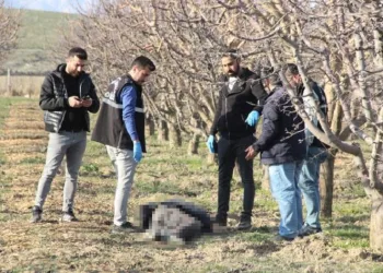 Yaşlı adam elma bahçesinde ölü bulundu