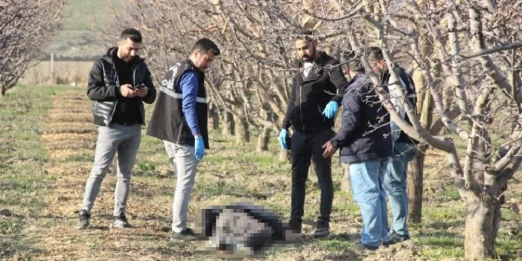 Yaşlı adam elma bahçesinde ölü bulundu