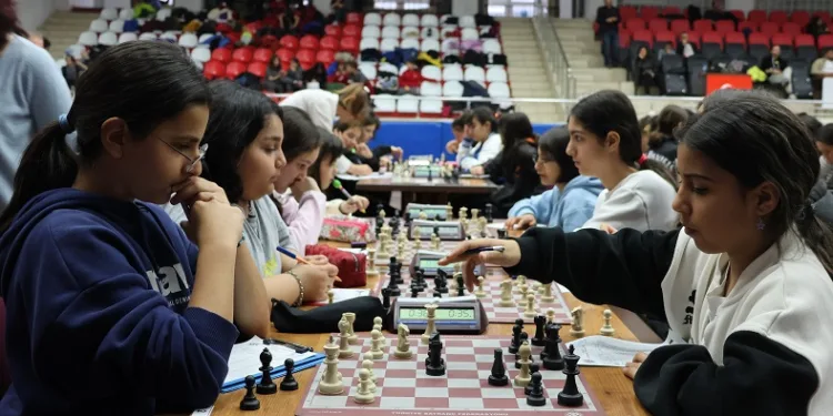 Aydın’da ‘şahlar’ şampiyonluk için çekildi