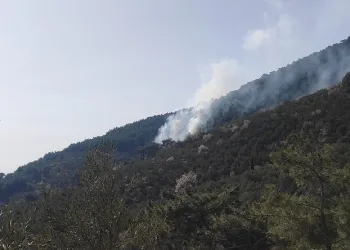 Kazdağları’nda orman yangını