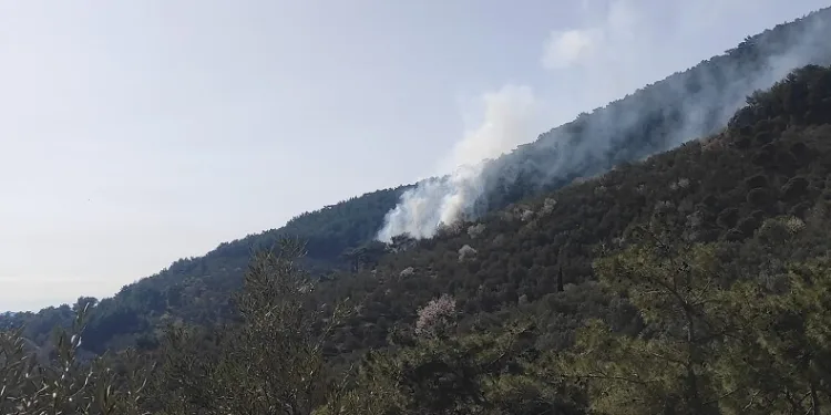 Kazdağları’nda orman yangını