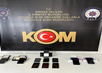 Şırnak’ta asayiş ve kaçakçılık operasyonu