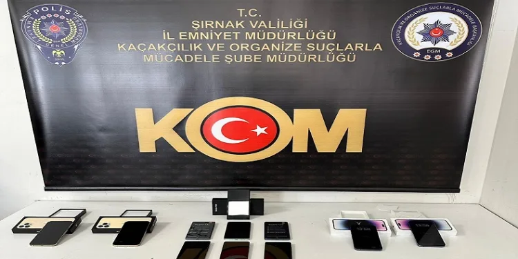 Şırnak’ta asayiş ve kaçakçılık operasyonu