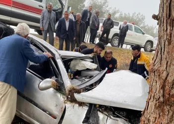 Ağaca çarpan otomobil sürücüsü ağır yaralandı
