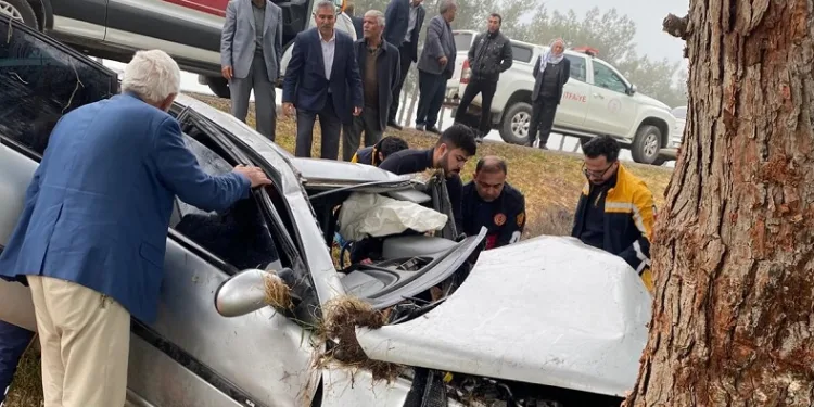 Ağaca çarpan otomobil sürücüsü ağır yaralandı