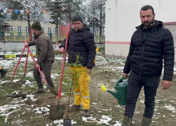 Kar yağışı altında fidan diktiler