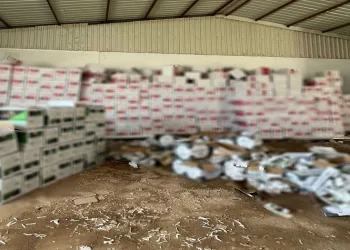 Antalya’da 8 milyon 970 bin boş makaron ele geçirildi