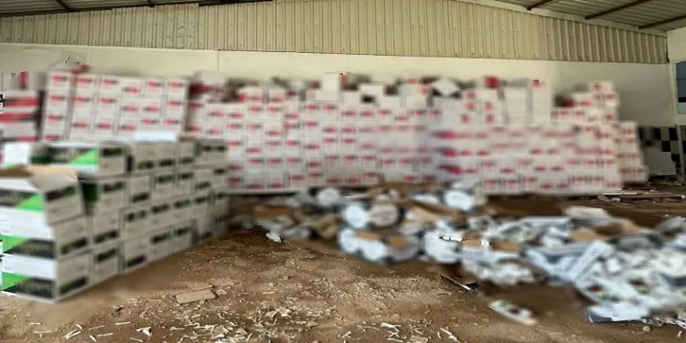 Antalya’da 8 milyon 970 bin boş makaron ele geçirildi