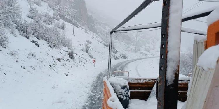 Şırnak’ta kar nedeniyle kapanan yolları açma çalışmaları başladı