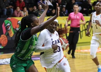Kadınlar Basketbol Süper Ligi: ÇBK Mersin: 85 – OGM Ormanspor: 76