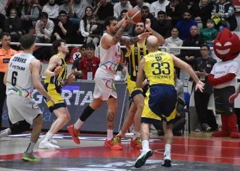 Basketbol Süper Ligi: Aliağa Petkimspor: 59 – Fenerbahçe Beko: 81
