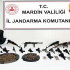 Mardin'de silah kaçakçılığı operasyonu