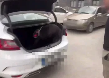 Durdurulan otomobilde uyuşturucu çıktı