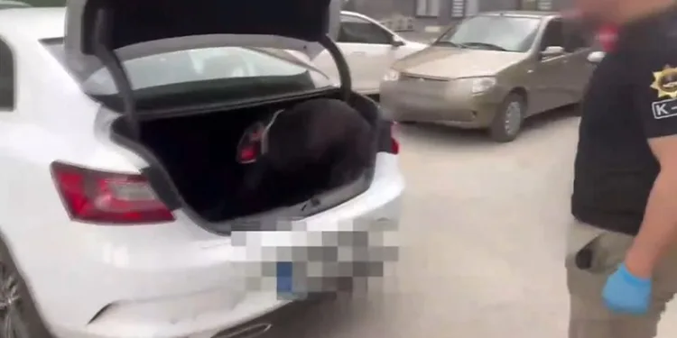 Durdurulan otomobilde uyuşturucu çıktı