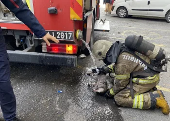 Yangında mahsur kalan köpek için ekipler seferber oldu