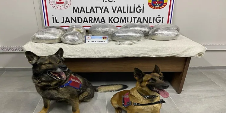 Malatya’da 18 kilo kubar esrar ele geçirildi