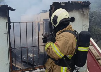 Erdek’te zeytinliğin içindeki evde yangın çıktı