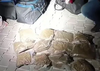 Sakarya polisinin 29 günlük bilançosu