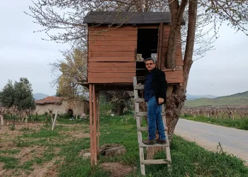 ‘Ağaç kondu’ ev ilgi çekti