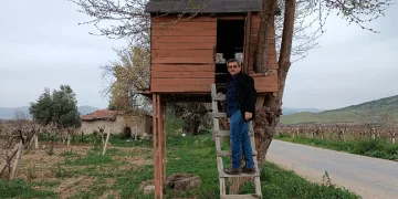 ‘Ağaç kondu’ ev ilgi çekti