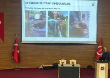 “Yabani Hayvanlarda İlk Yardım ve Rehabilitasyon”