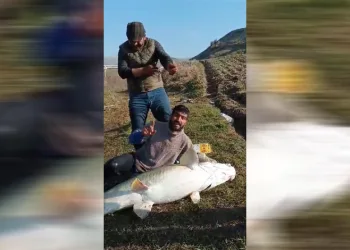 70 kg ağırlığında turna balığı yakalandı