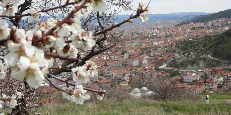 Kütahya’da badem ağaçları çiçek açtı