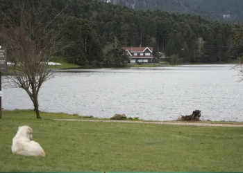 Gölcük Tabiat Parkı’nın en sakin günü