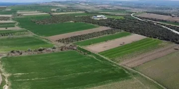 Yeni bir şehitlik alanı tespit edildi