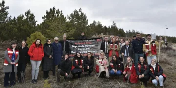 300 fidan, kadınlar anısına dikildi