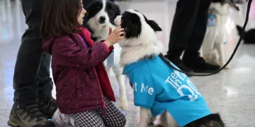 “Terapi Köpek Projesi”