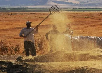 Tarım-ÜFE şubatta yüzde 58,29 oldu