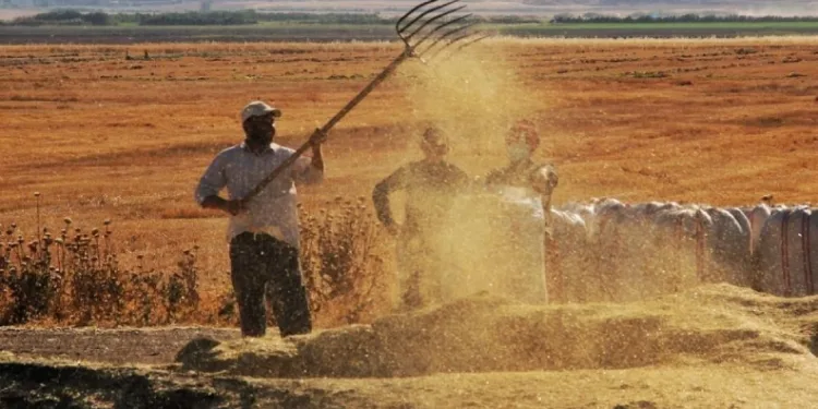 Tarım-ÜFE şubatta yüzde 58,29 oldu