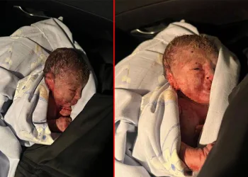 Bir evin bahçesinde yeni doğmuş bebek bulundu
