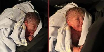 Bir evin bahçesinde yeni doğmuş bebek bulundu