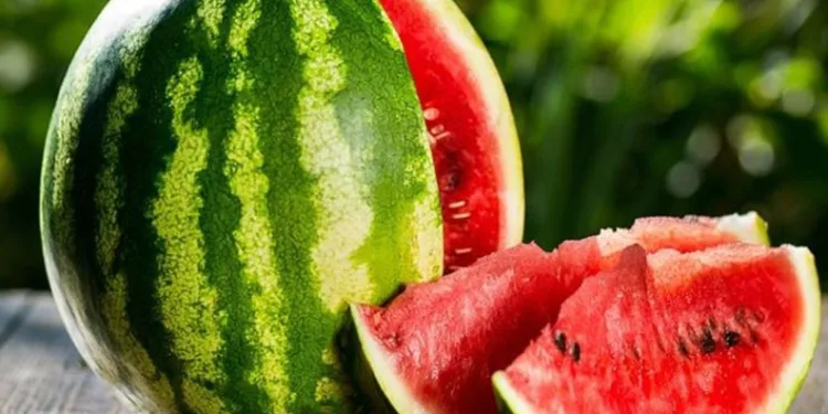 Adana karpuz üretiminde Türkiye’de birincisi