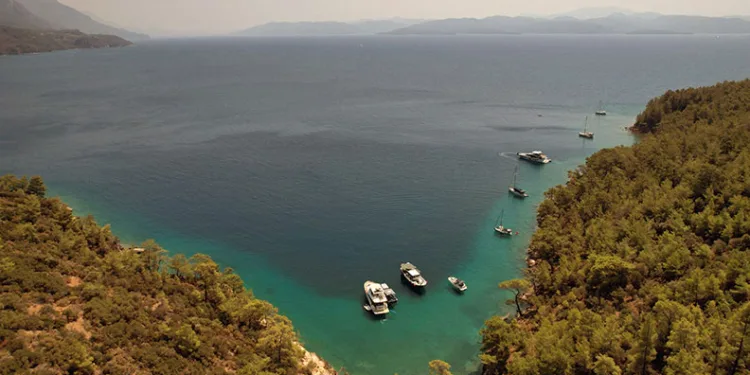 Muğla Büyükşehir 202 çevre davası açtı