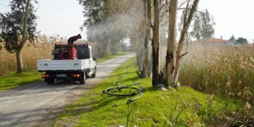 Larvalara anında müdahale ediliyor